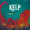 Kelp : Requin vs pieuvre